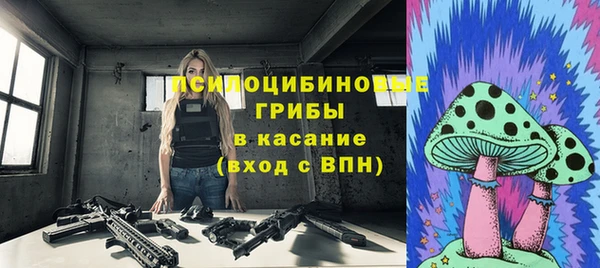 spice Алексин