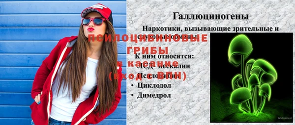 СК Алексеевка