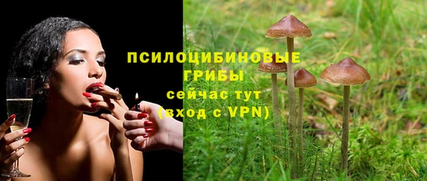 spice Алексин