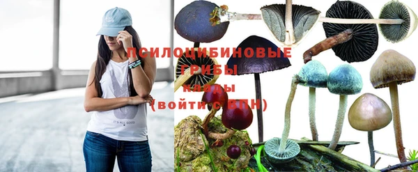 СК Алексеевка