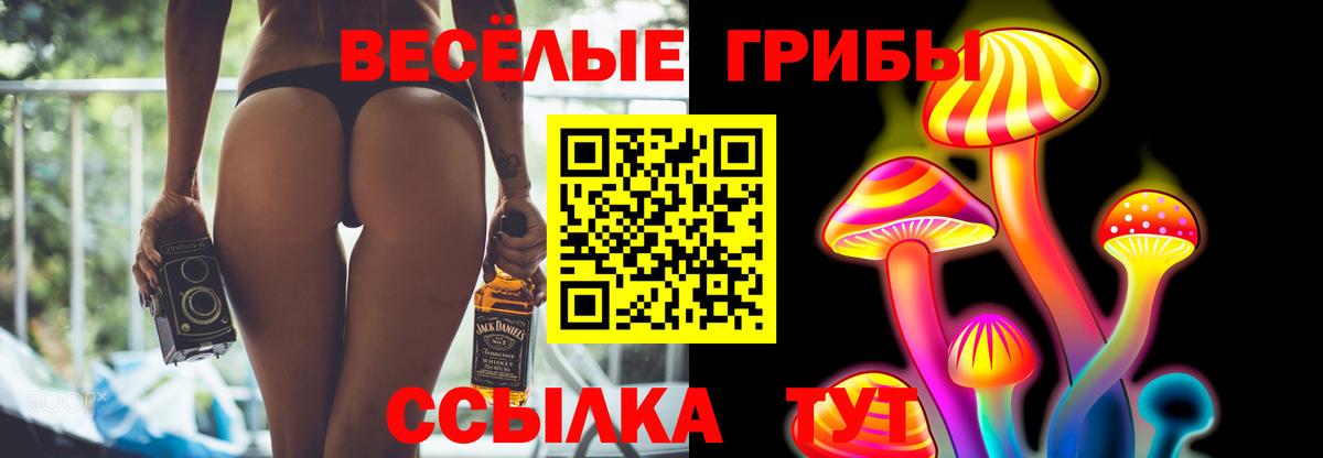Тейково  где найти   Вход с VPN  Галлюциногенные грибы MAGIC MUSHROOMS 